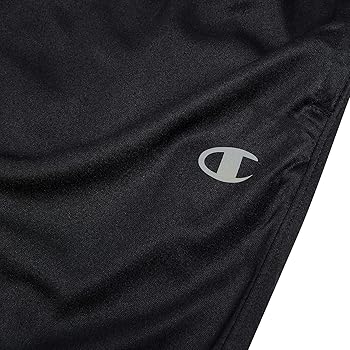 Amazon.com: Champion Big and Tall Open Bottom Track Pants